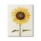 Stupell Industries Wind Has Blown Quoted Script Warm Sunflower Floral Canvas Wall Art